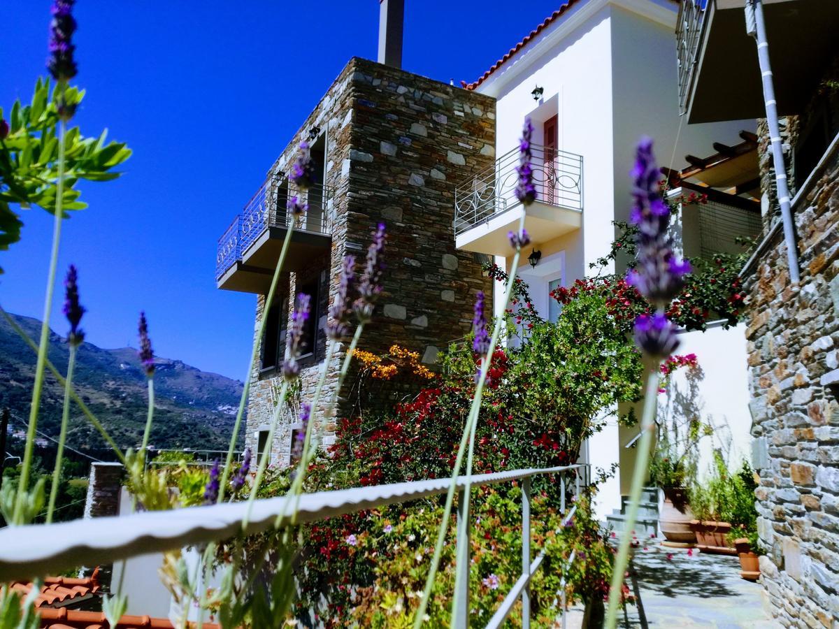 Rastoni * Andros Town